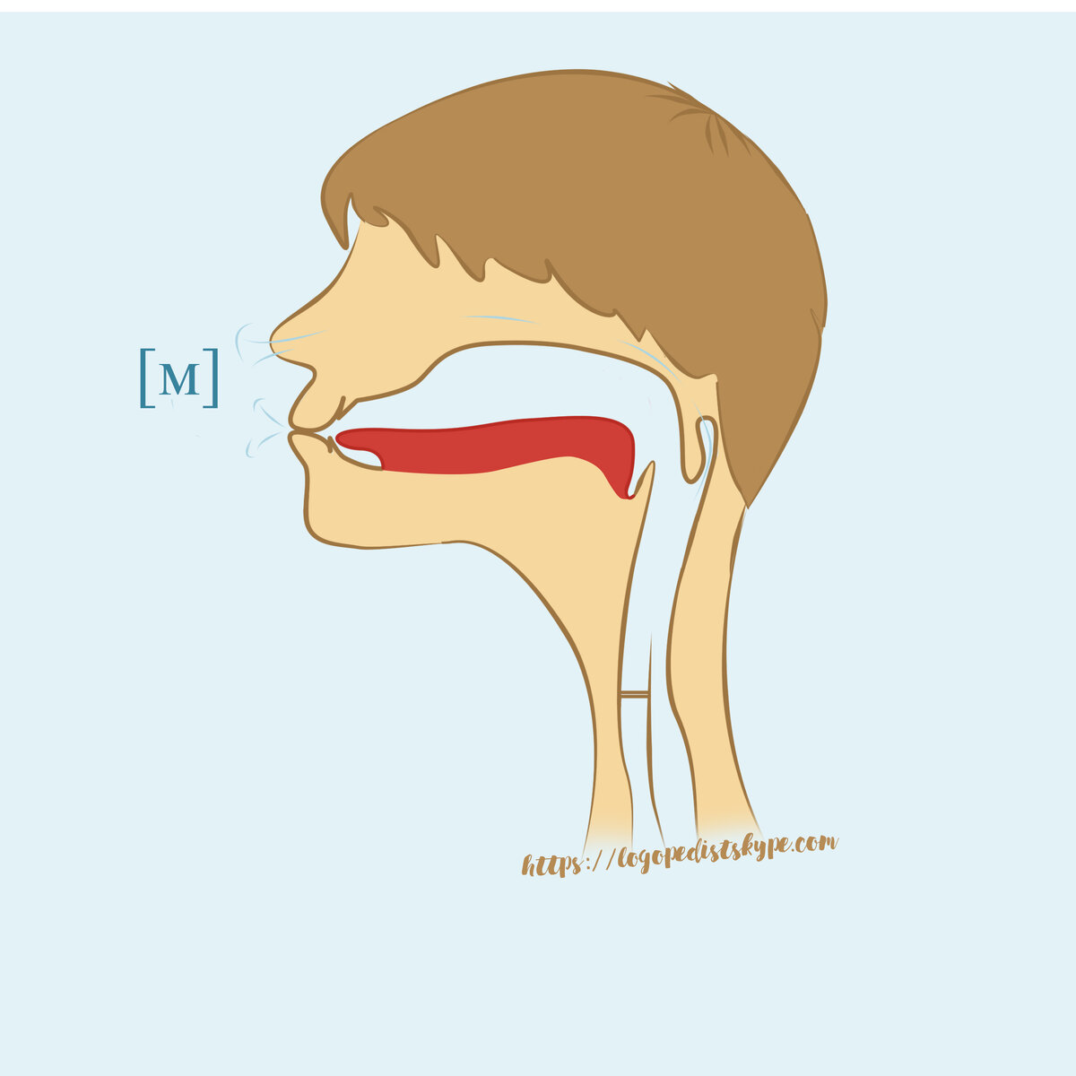 Звук носа. Носовое произношение звуков. Носовой звук ŋ. Звук м произношение.