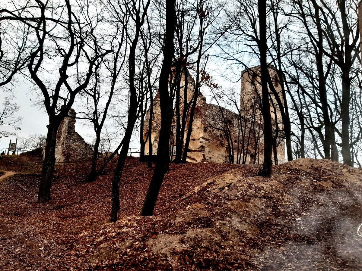 Фото автора. Вот такие руины остались от славного монастыря.