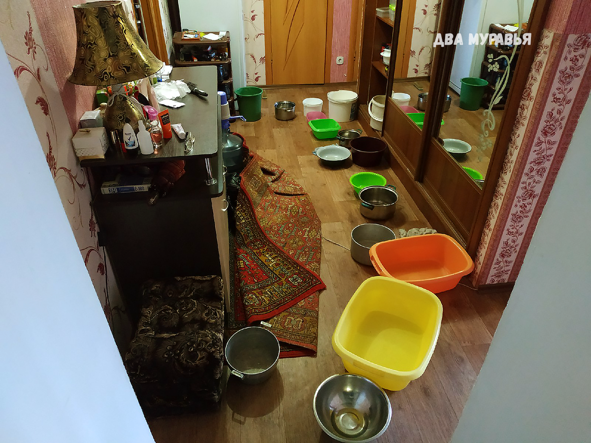 Квартира родителей: с потолка "потоп", подставили кучу тазиков.