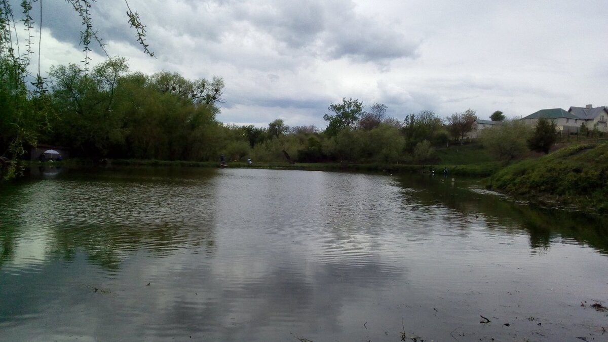 Поскорее бы весна!