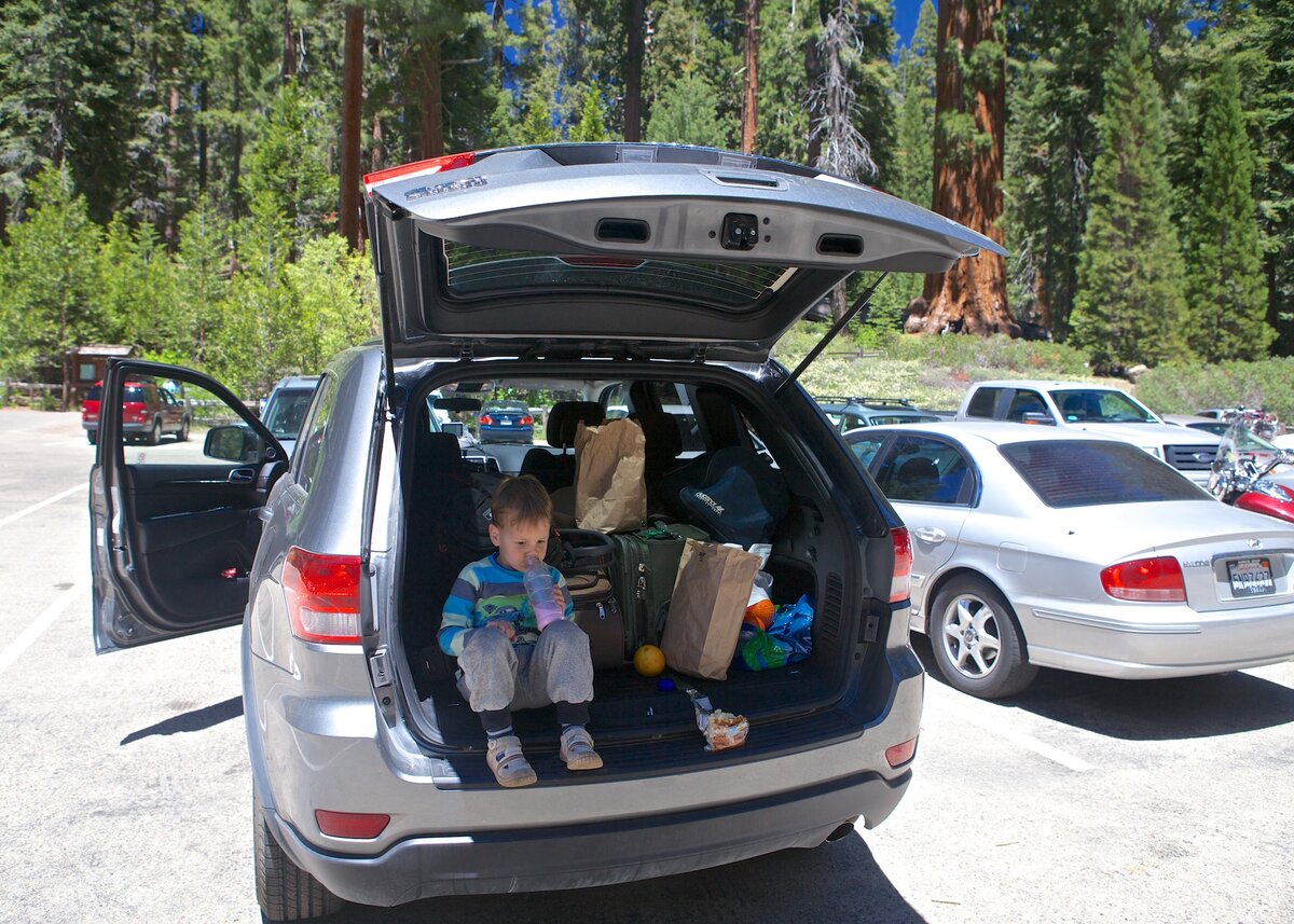 Перекус в национальном парке «Секвойя»