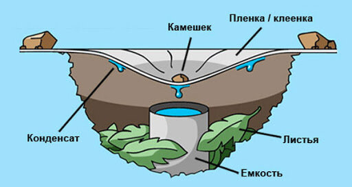 ТРИ НАВЫКА, КОТОРЫЕ ПОМОГУТ ТЕБЕ ВЫЖИТЬ В ЛЕСУ