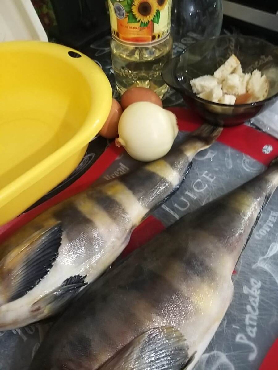 Терпуг, собственной персоны)