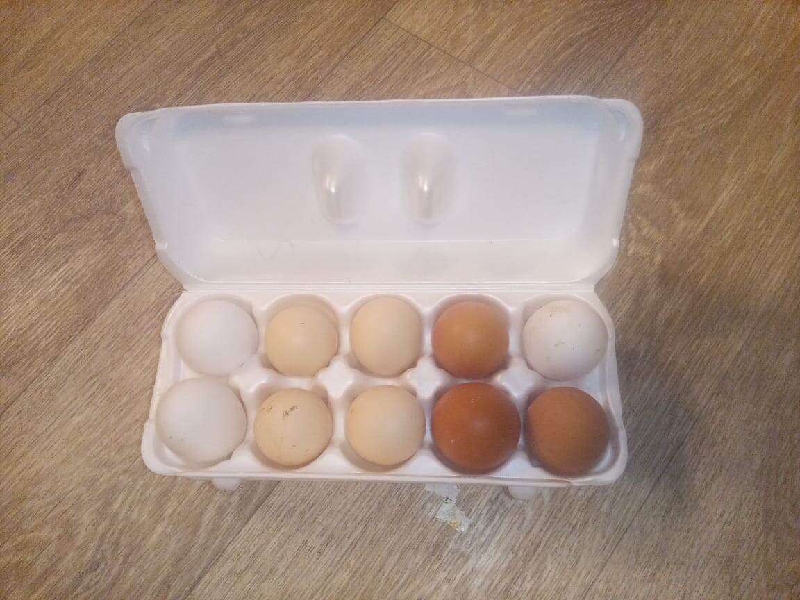 А это наши домашние яица. Разноцветные и вкусные)