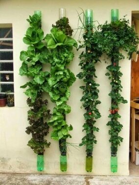  Вместо того чтобы выбрасывать опустевшие пластиковые бутылки, попробуйте найти им достойное применение в саду. Задействовав высоту, вы замаскируете неприглядные уголки сада и освободите пространство для посадки других растений.