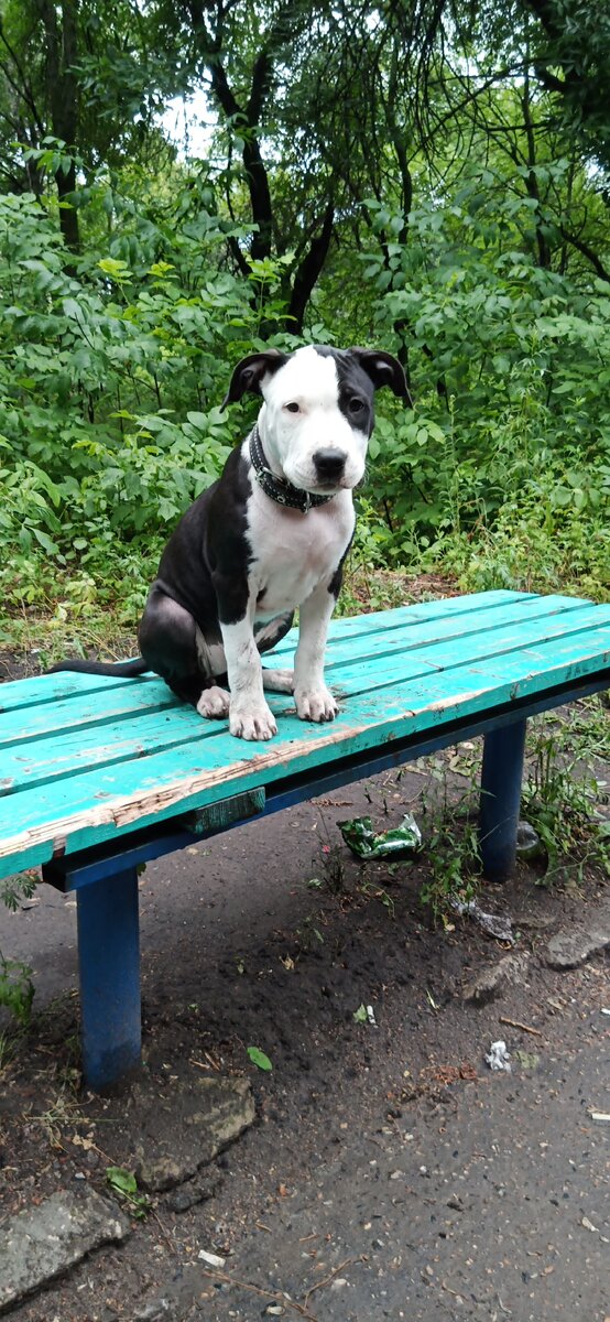 Месяцев 5, ещё немного нескладная, но как всегда очень красивая