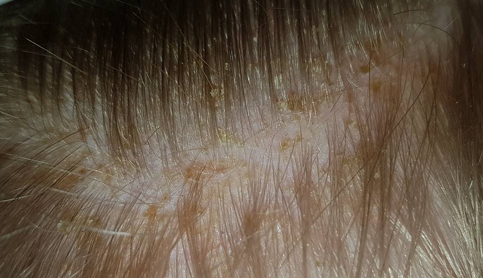 фото с открытых источников