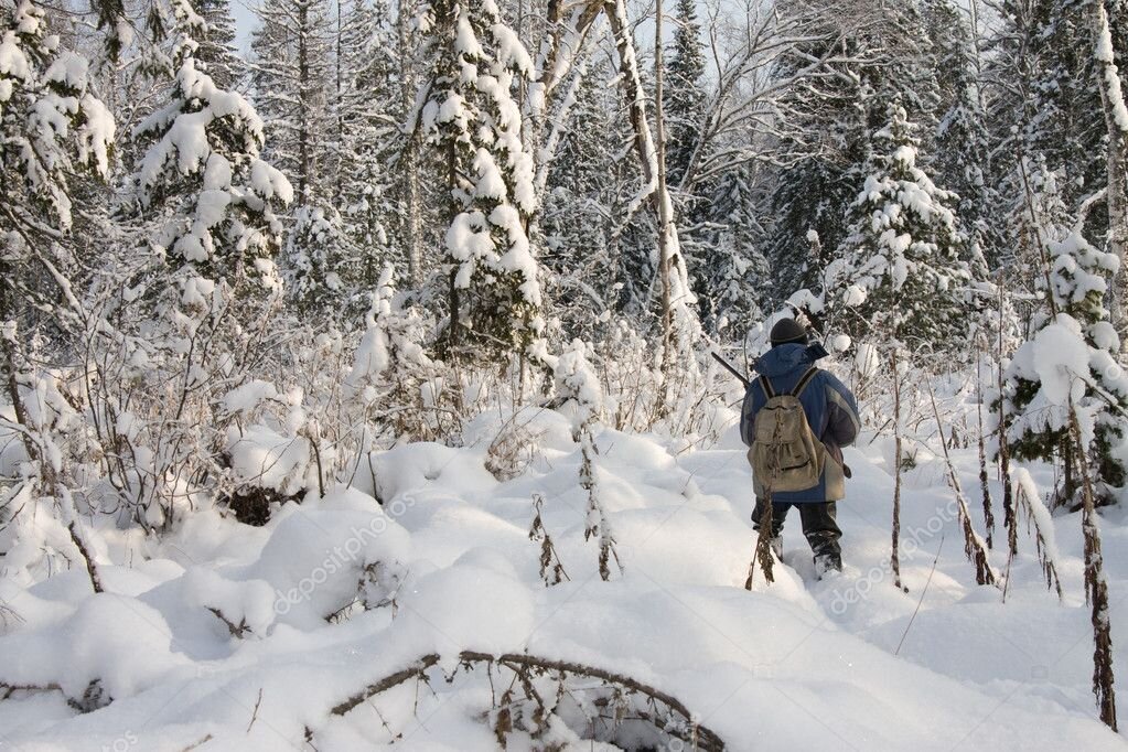 Фото Яндекс.