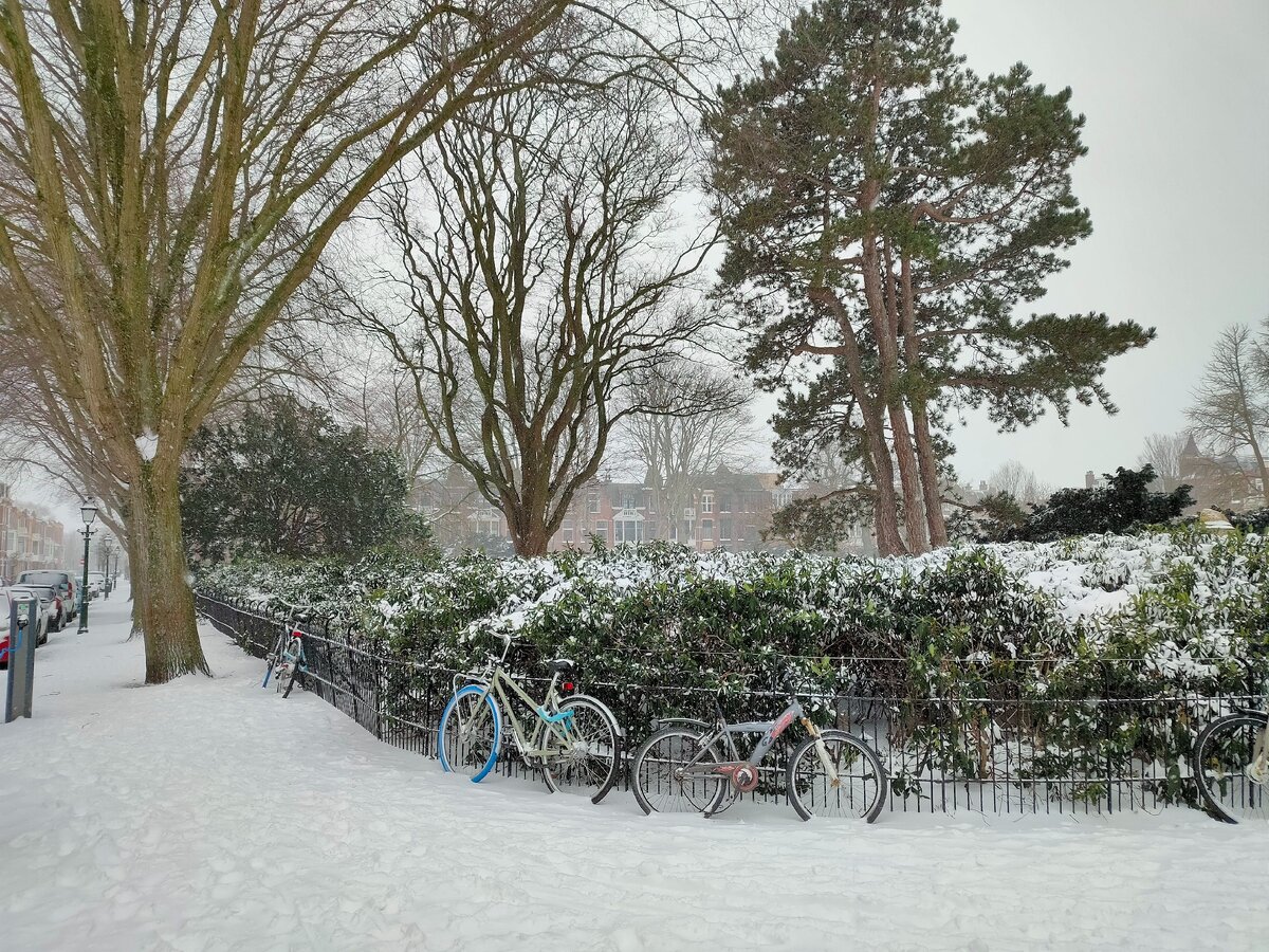 Снег на голландских улицах