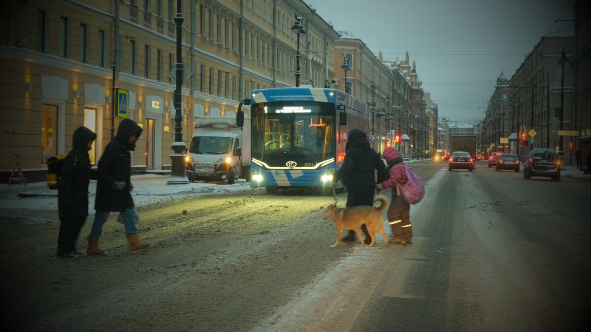 Пешеходный переход на Невском проспекте