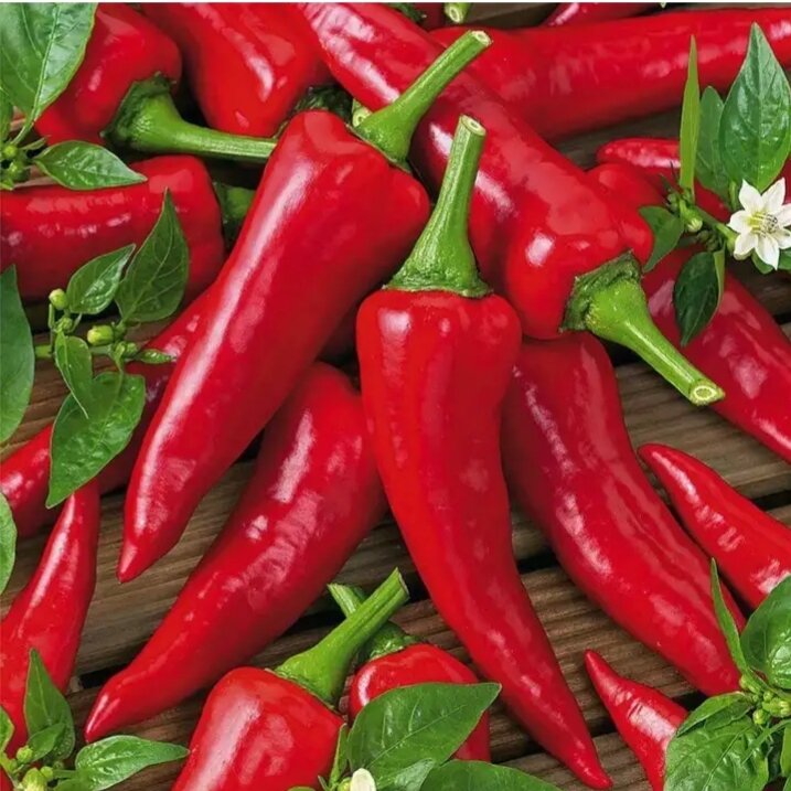 Фото с просторов интернета, на авторство не претендую)