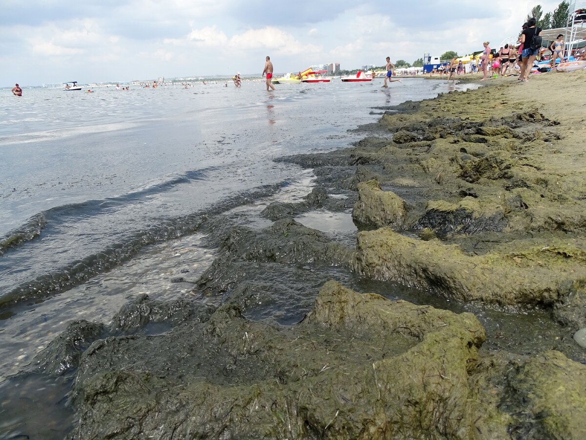 Камка на центральном пляже Анапы