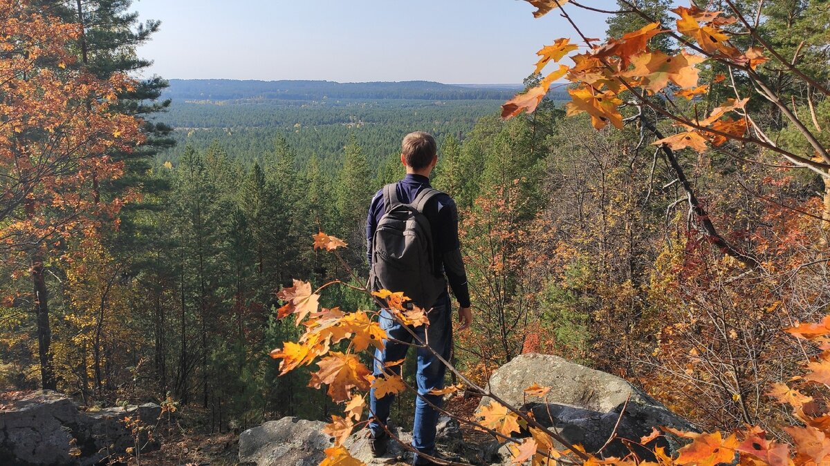 Одно из самых высоких мест в бору. 