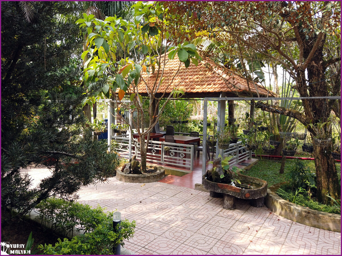 Тропическая беседка (фото автора)