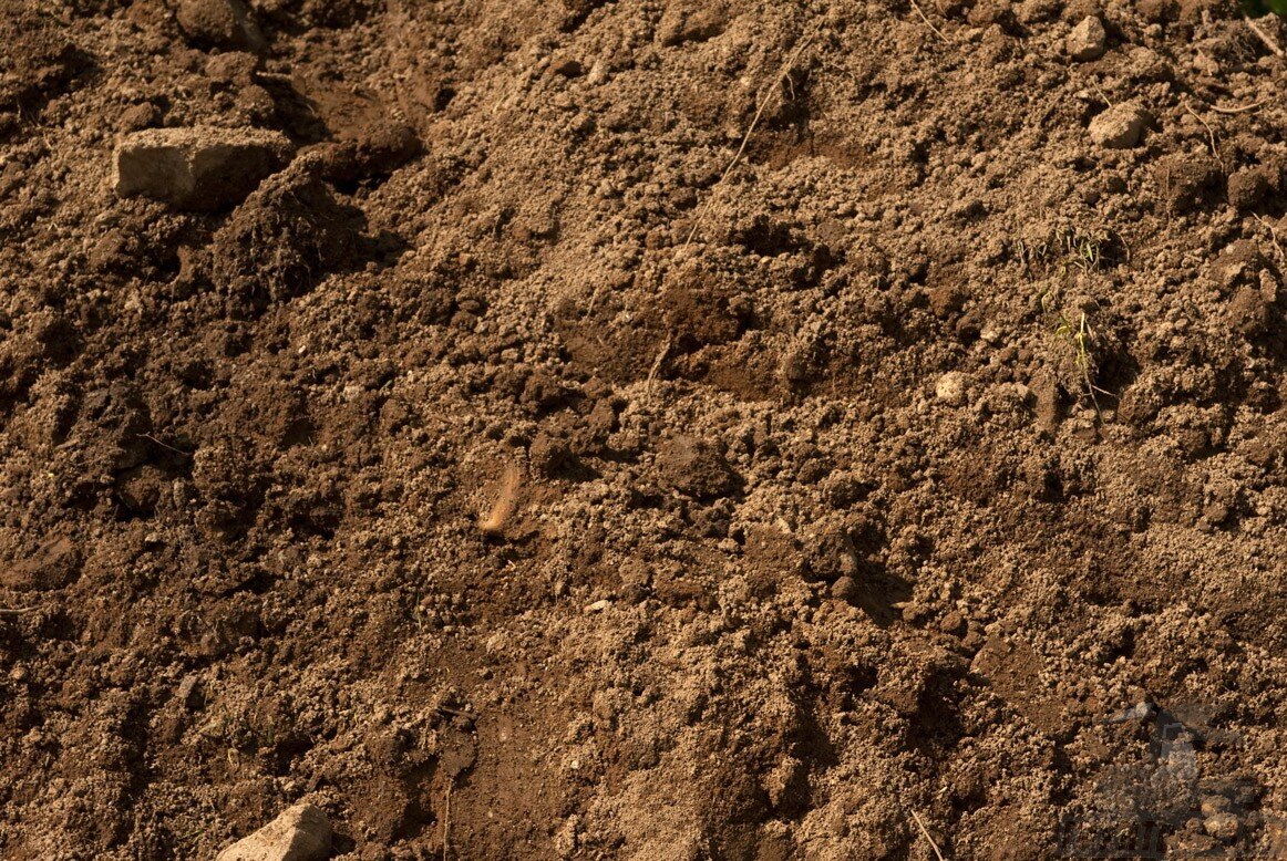 2 почва плодородие. Вскрышной грунт (вскрыша). Soil грунт. Рыхлая почва. Рыхлая земля.