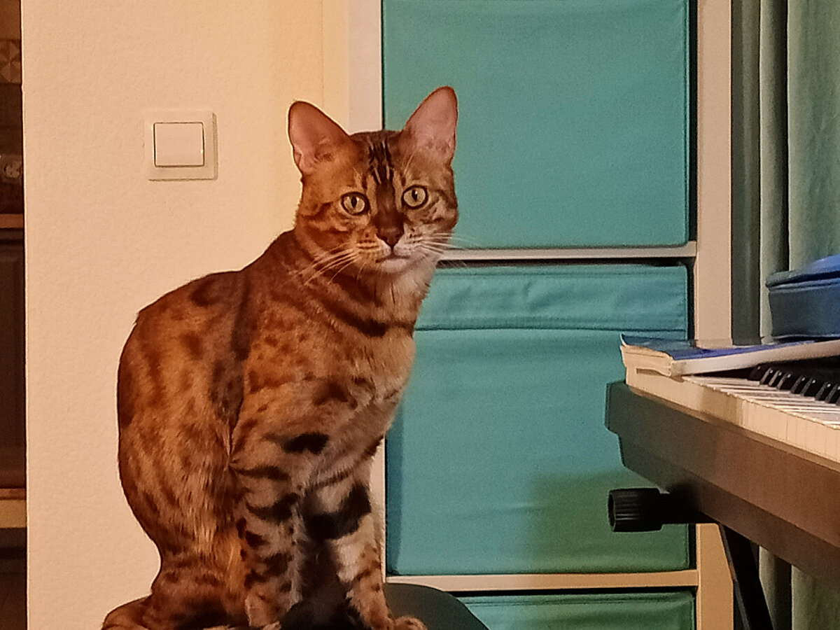 Фото автора)