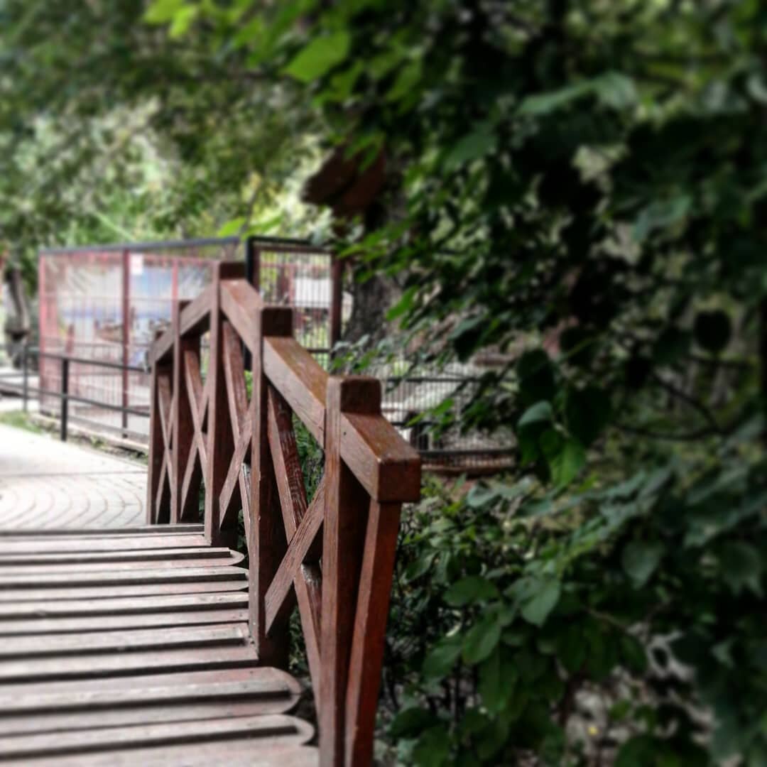 личное фото автора