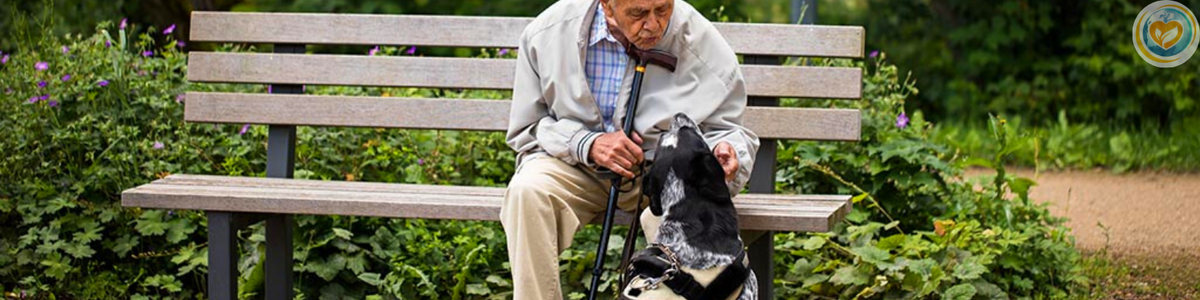 С дополнительной информацией можете ознакомиться на сайте пансионата Долголетие