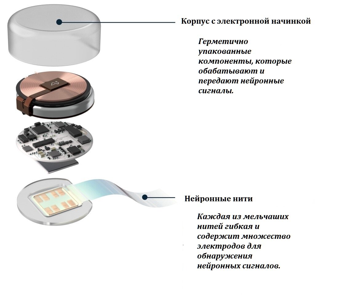 Условный вид самого устройства.