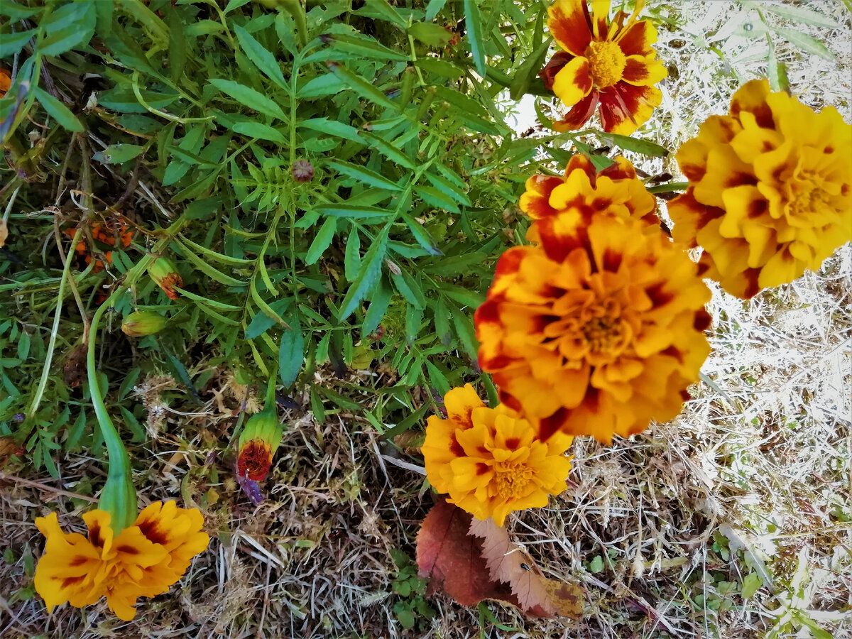 Пора убирать