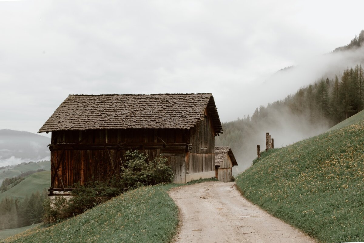 Фото автора eberhard grossgasteiger: Pexels