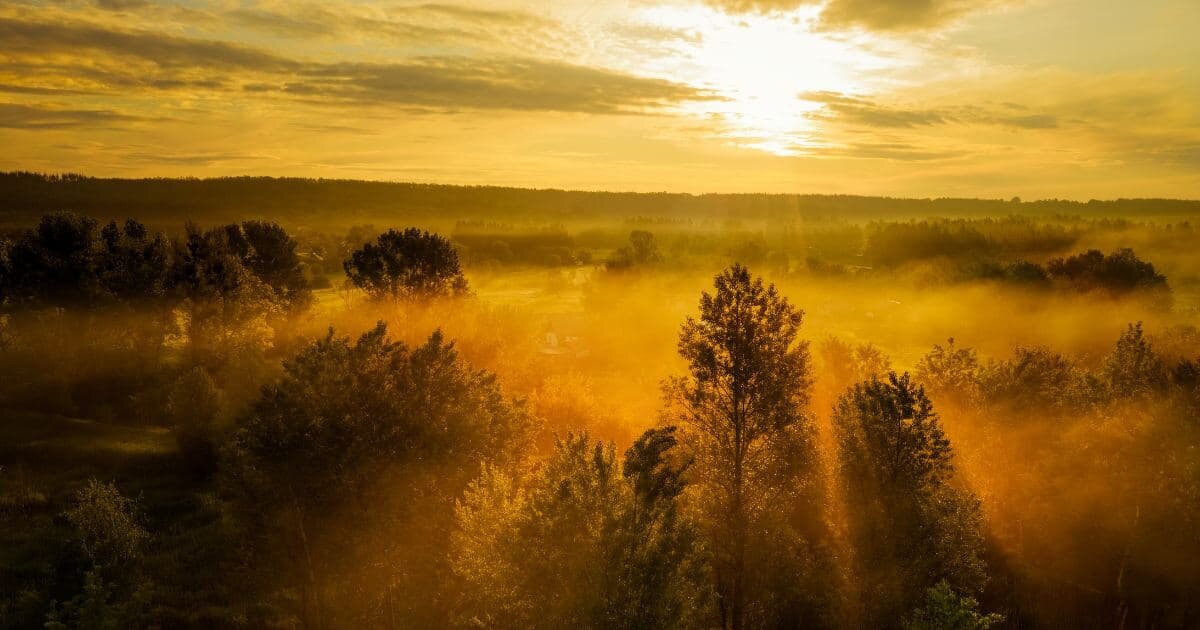 Фото: ru.freepik.com