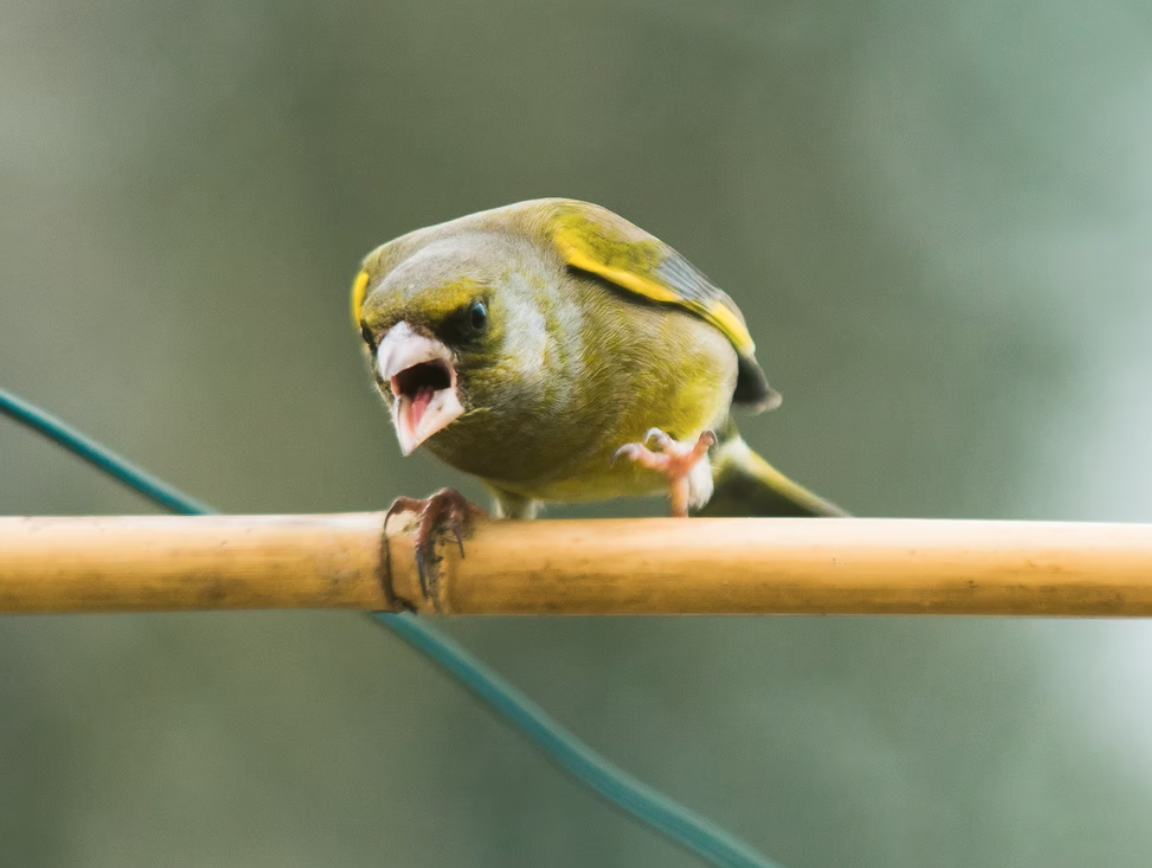 Photo by David Knox on Unsplash