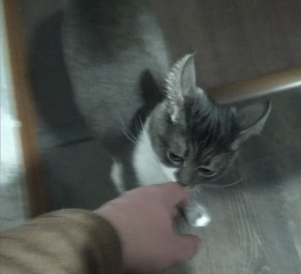 Ну..что там у тебя.. что ты мне дать хочешь?*