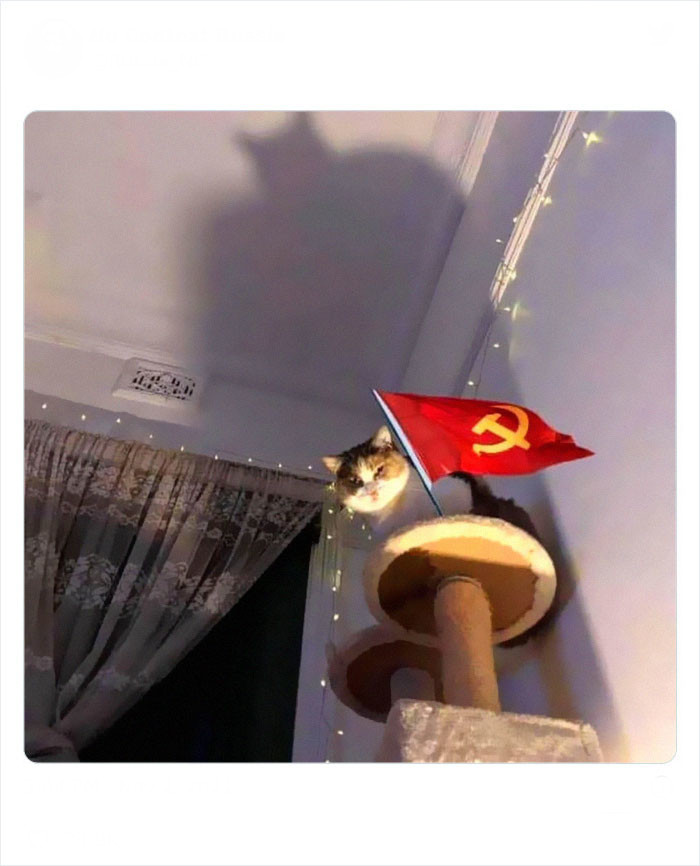 Источник: twitter.com
