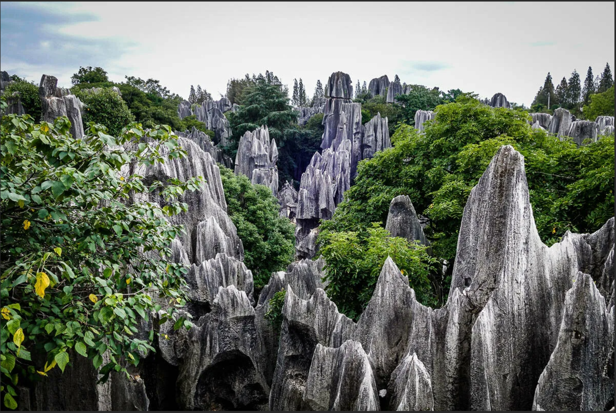 Каменный лес китай фото