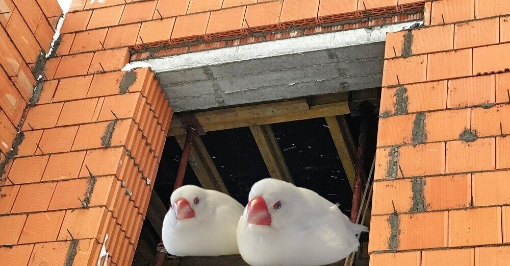 Счастливые новосёлы