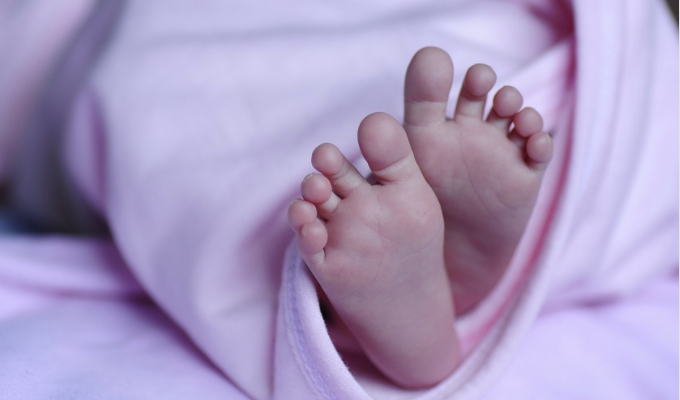 фото pixabay.com