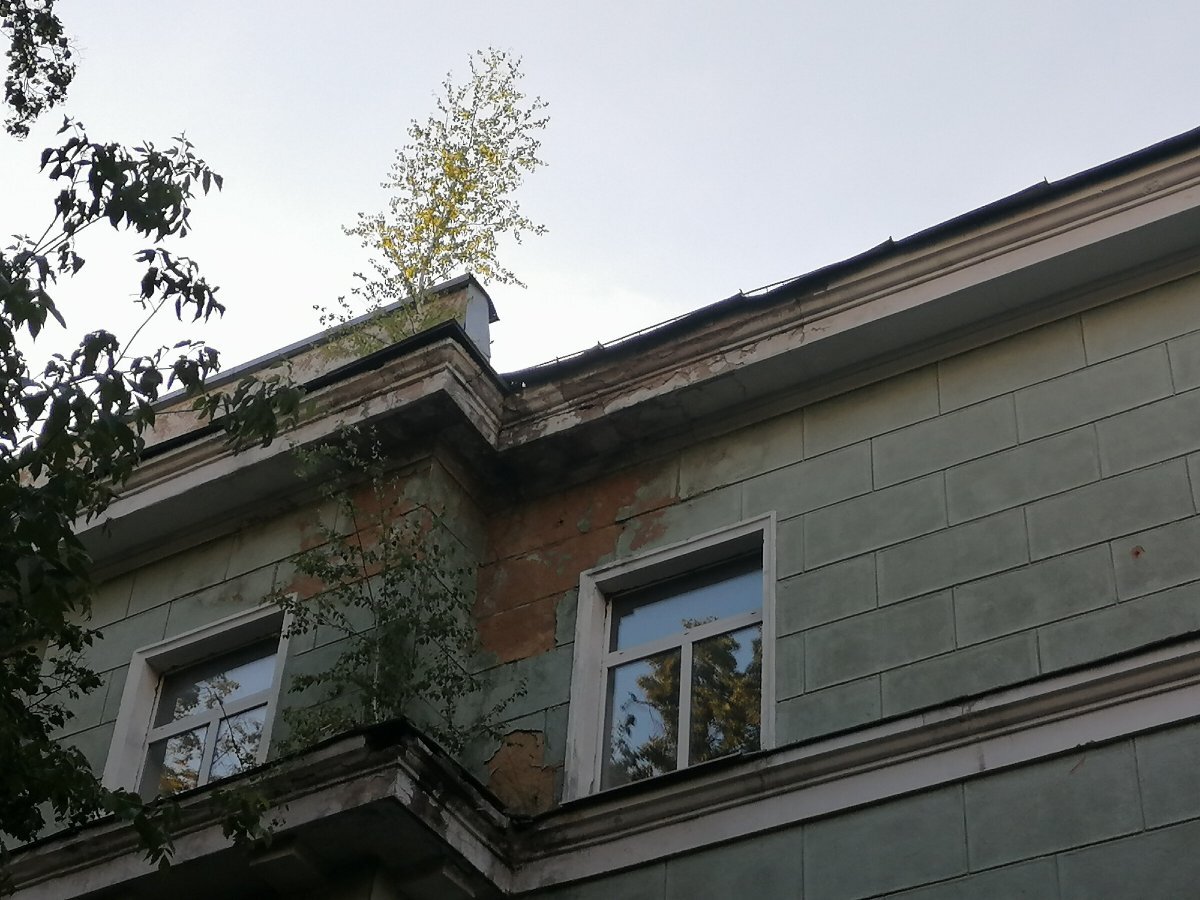 НИЦЭМ Гамалеи, наши дни