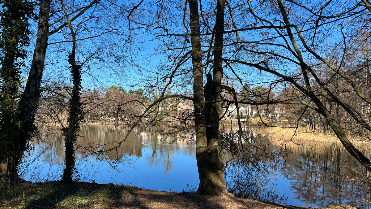 Какое небо голубое. 😀 фото автора