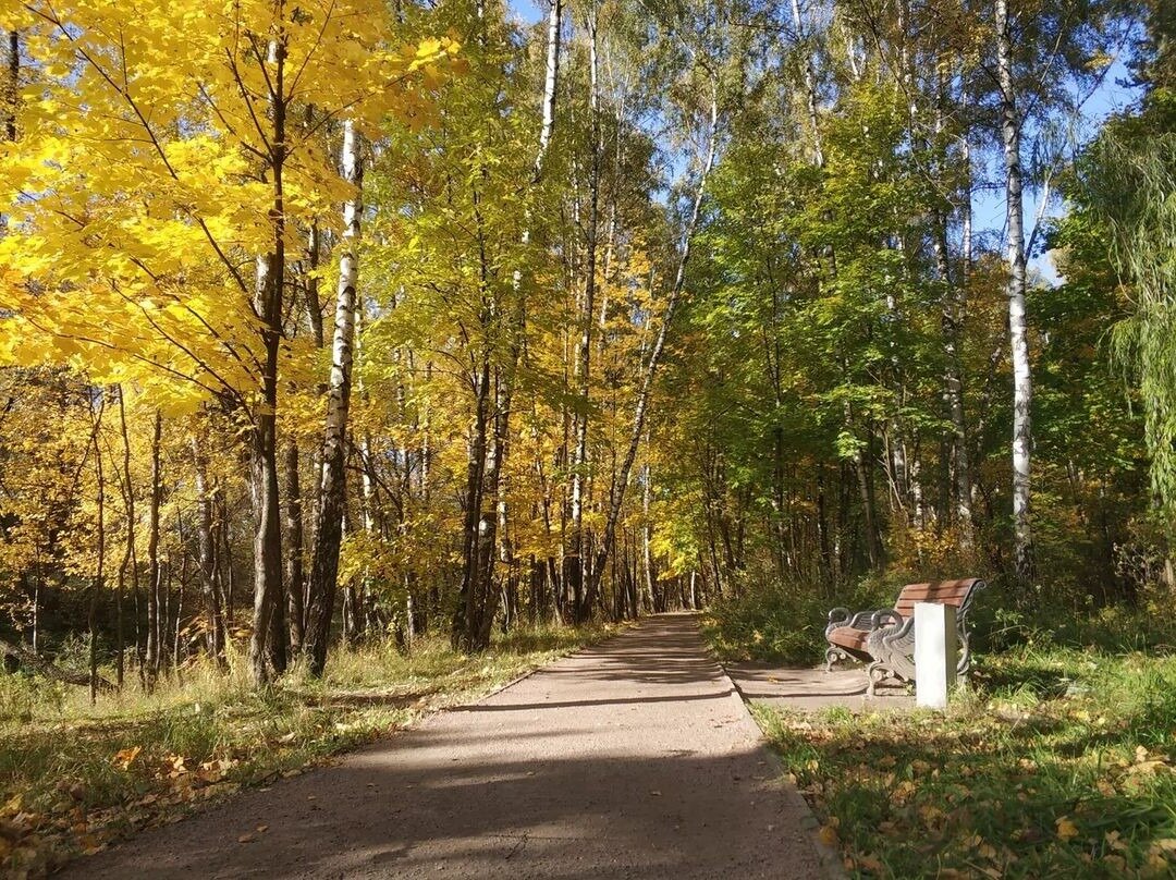 Купить квартиру в новостройки Москвы. Инвестиции в недвижимость. Услуги экспертов “ЧестнокофЪ” бесплатно. Тел: +7 (999) 555-28-82