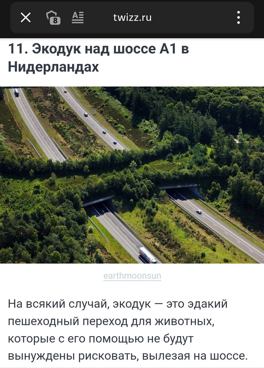 Источник фото: https://twizz.ru/17-snimkov-infrastrukturnyx-reshenij-kotorye-vyglyadyat-501418/