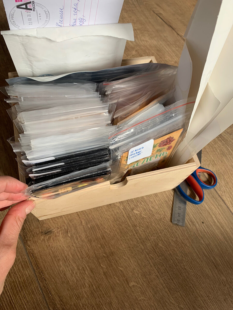 Моя коллекция семян