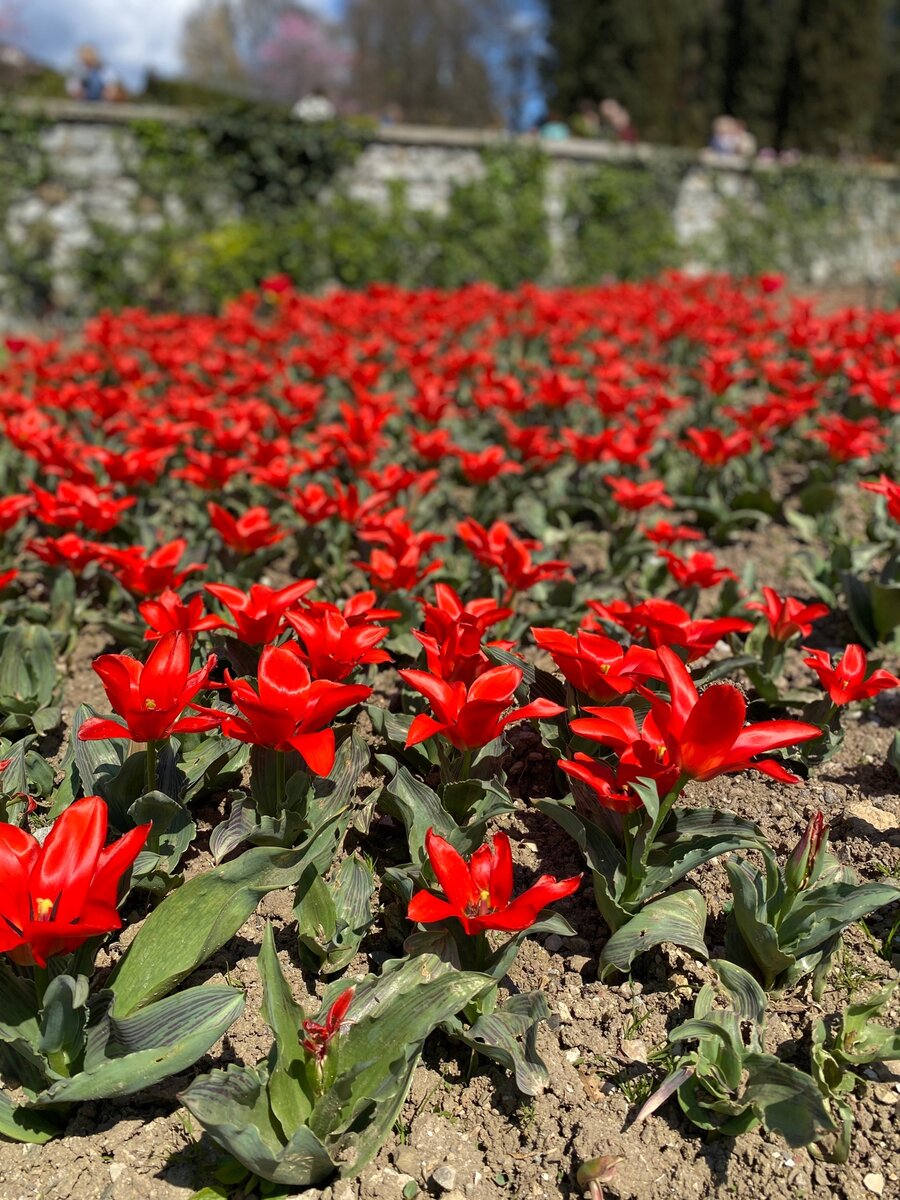 © Фото: Ольга Бродова. Источник: группа Ольги во ВКонтакте https://vk.com/olychik24.