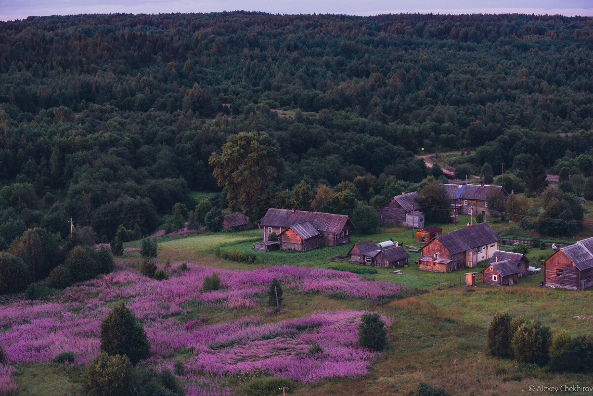 Большинство жителей приезжают сюда из города на лето, но некоторые проживают постоянно.