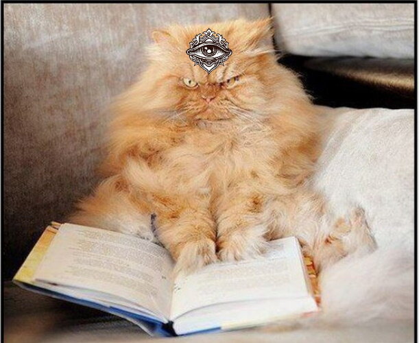 Магический кот