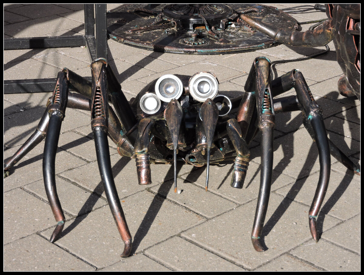 Паук с другой планеты