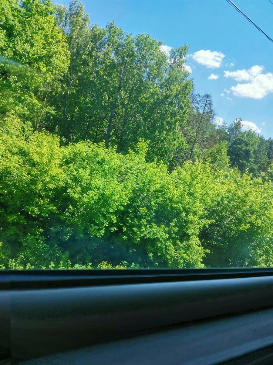 Вид из окна поезда