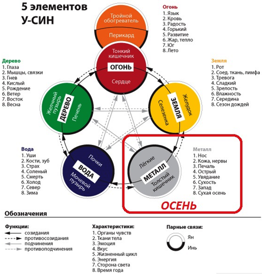 5 элементов энергии