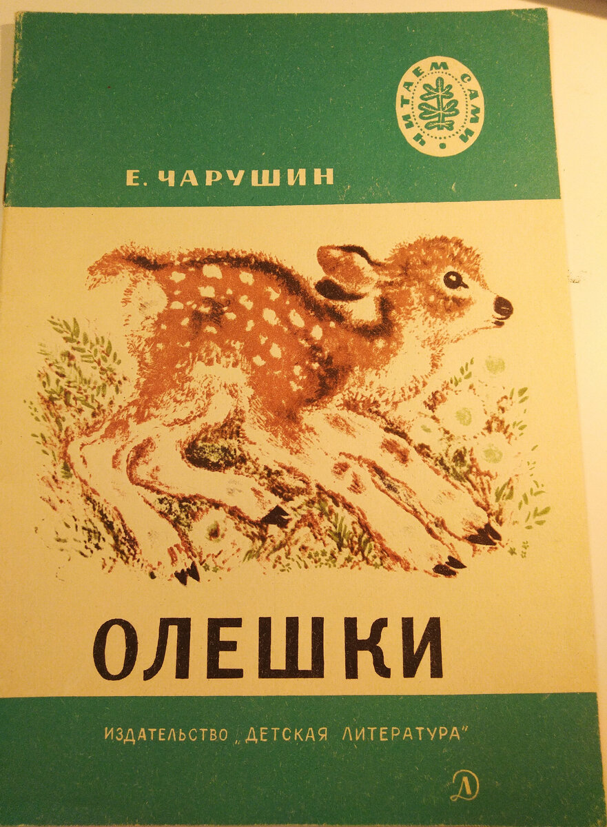 Евгений Чарушин - самый яркий и совершенно невероятный детский иллюстратор  | Наталья Почуева 