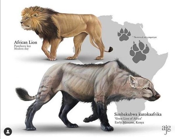 Пришёл, увидел, наследил.