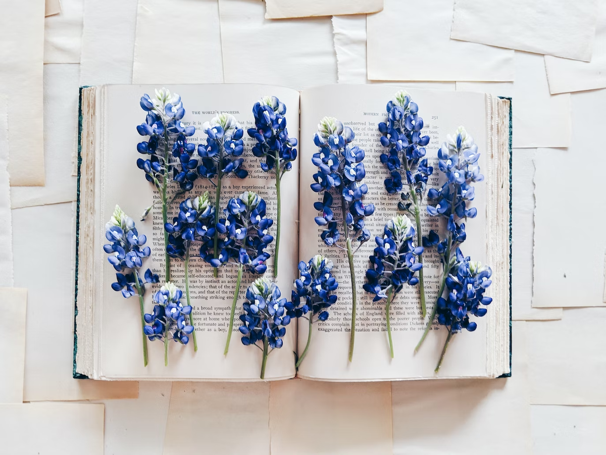 Joyce McCown/Unsplash.com