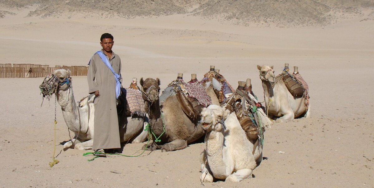 Бедуины Нувейбы