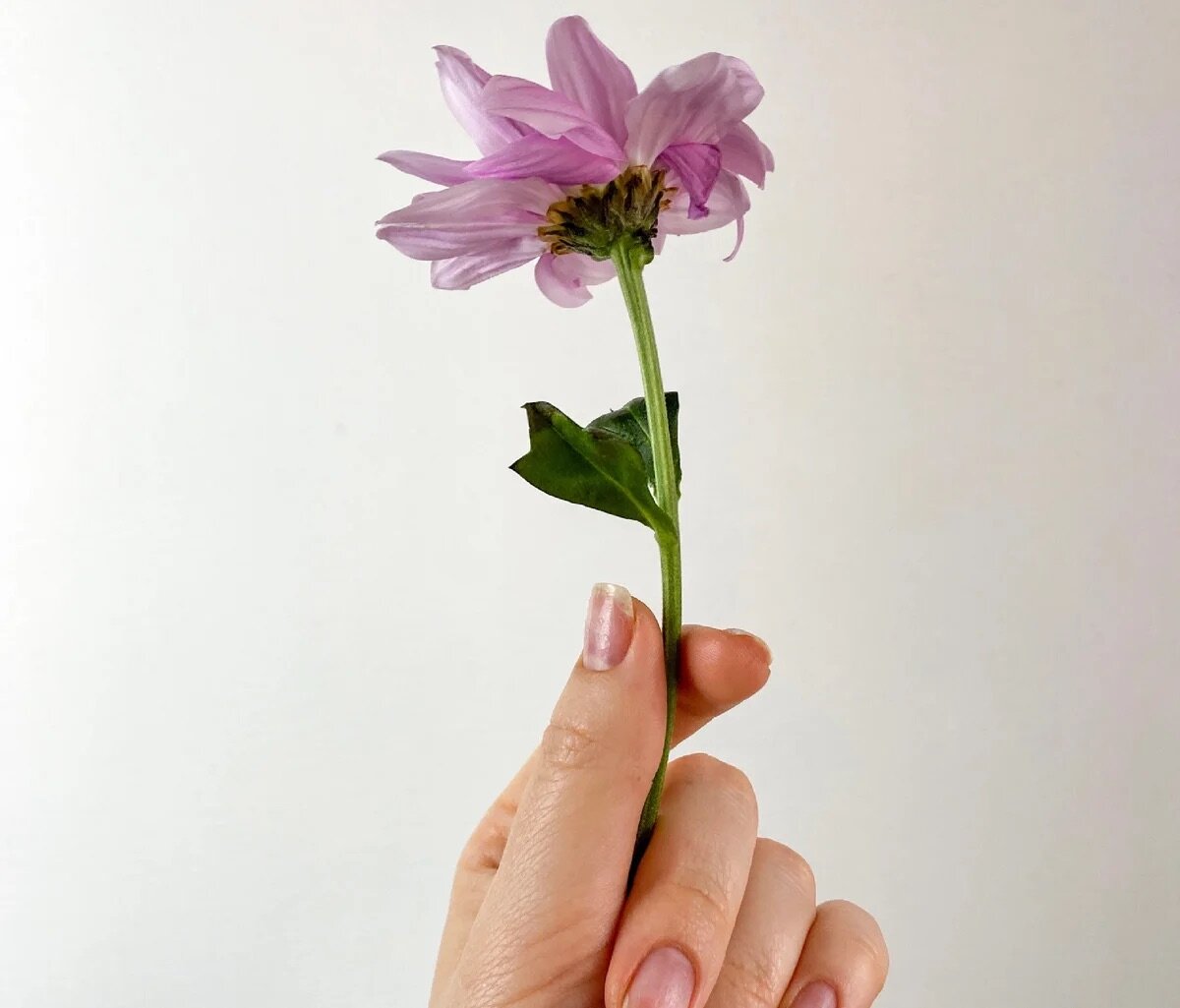 Это естественные процессы и мы можем только отсрочить и облегчить их