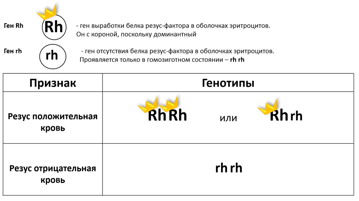 Ведение беременности при резус-конфликте