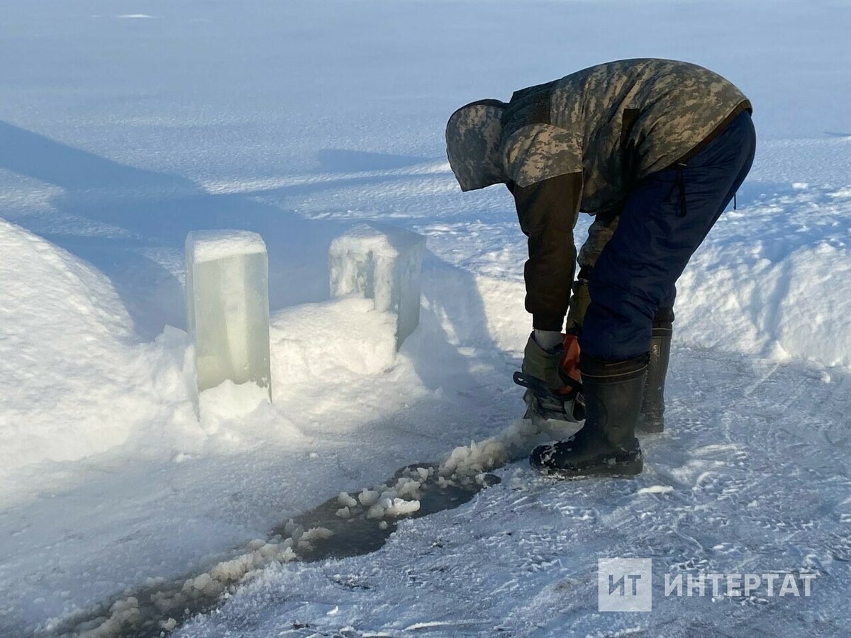 Зимние скульптуры: 38 роскошных фигур из снега и льда